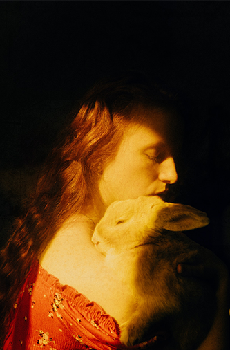 LuFo stellt aus und vermittelt