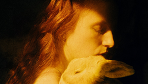 LuFo stellt aus und vermittelt