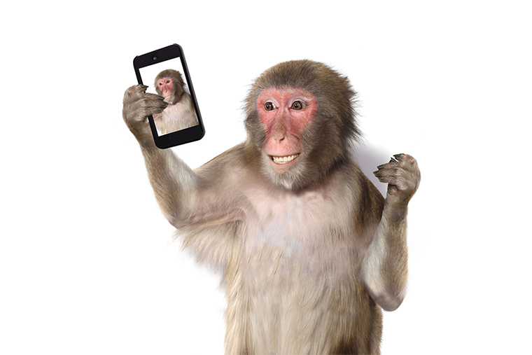 Selfie-Wahn